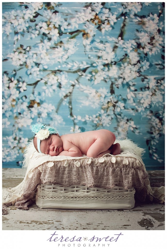 RI newborn photographer