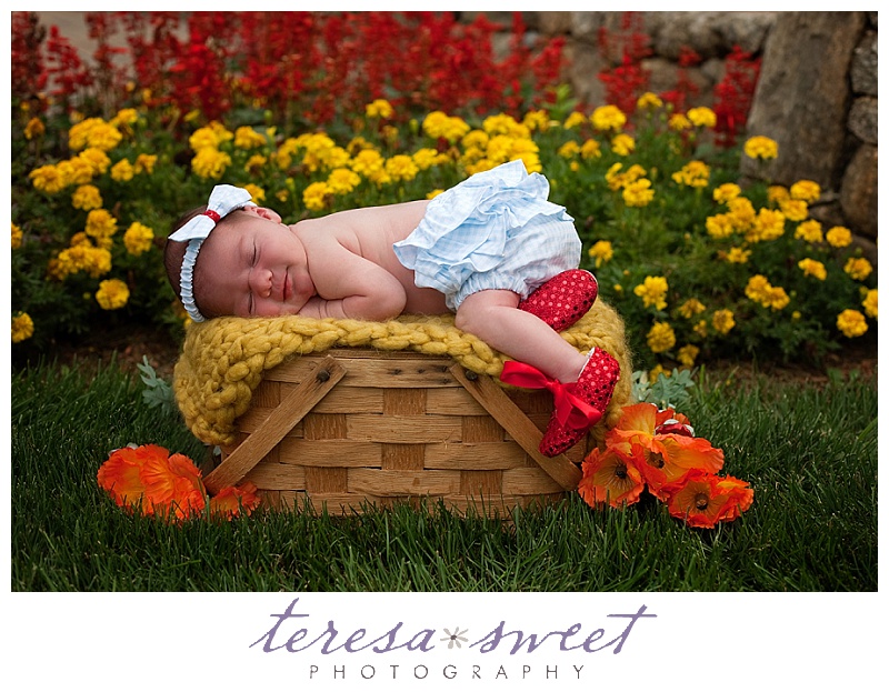 RI newborn photography